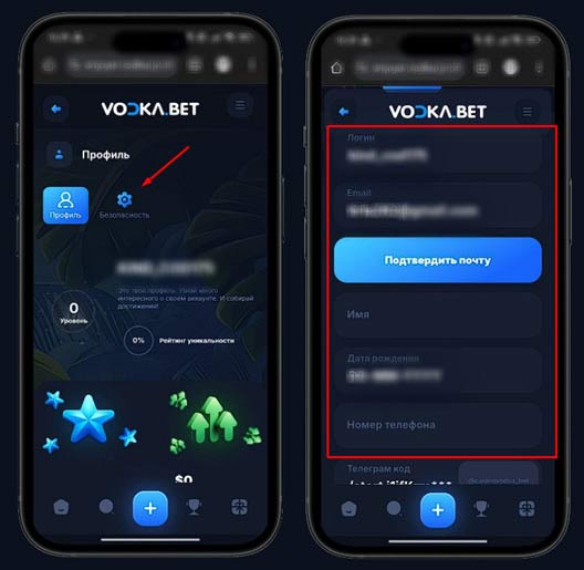Верификация в Vodka Casino